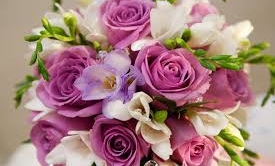 Obrazek domyslny serwisu strumien.pl